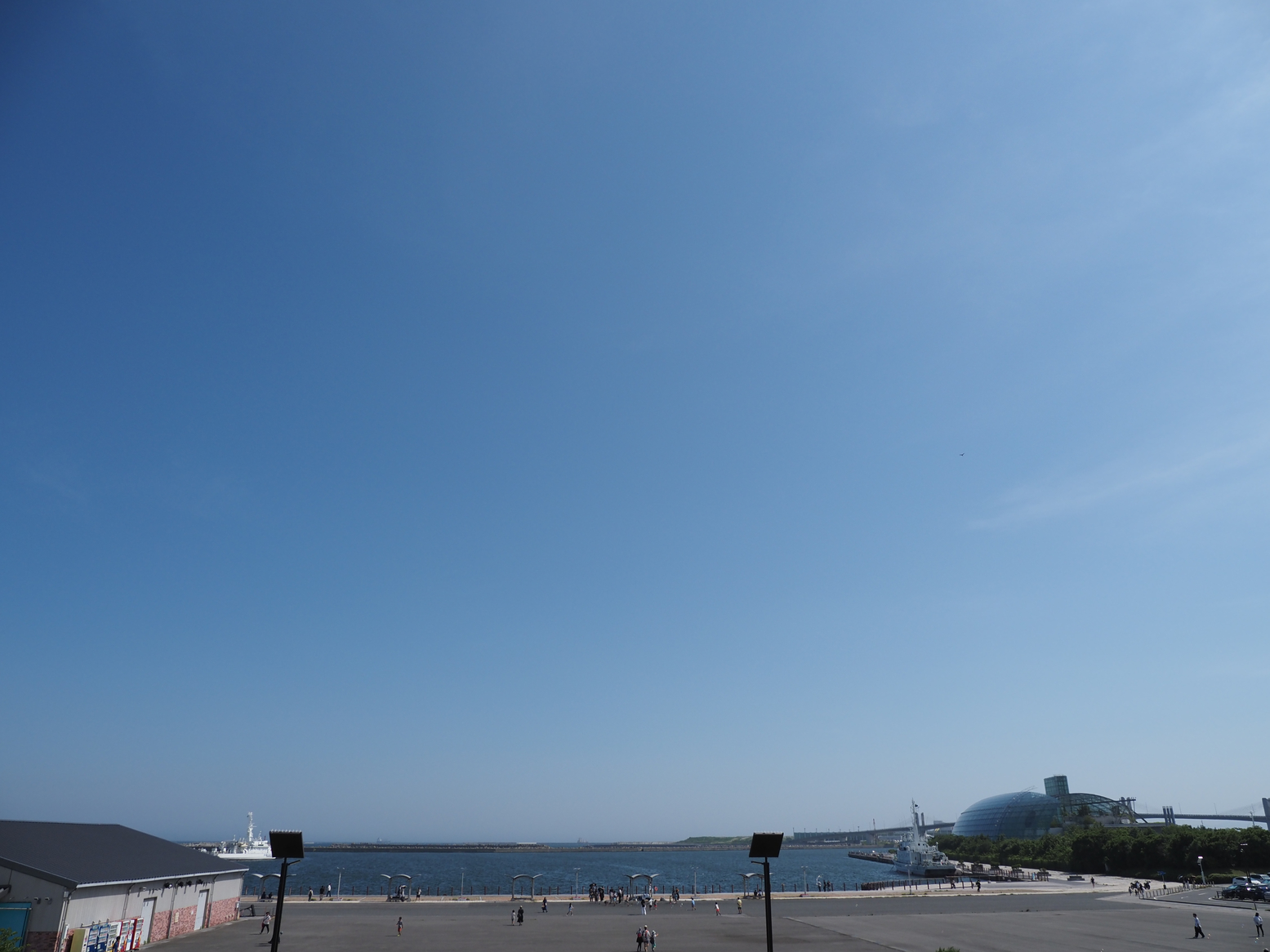 P6223797.jpg