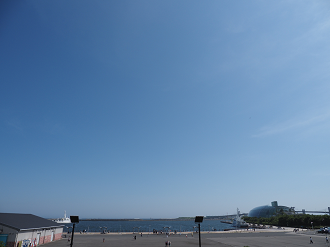 P6223797_thumb.png