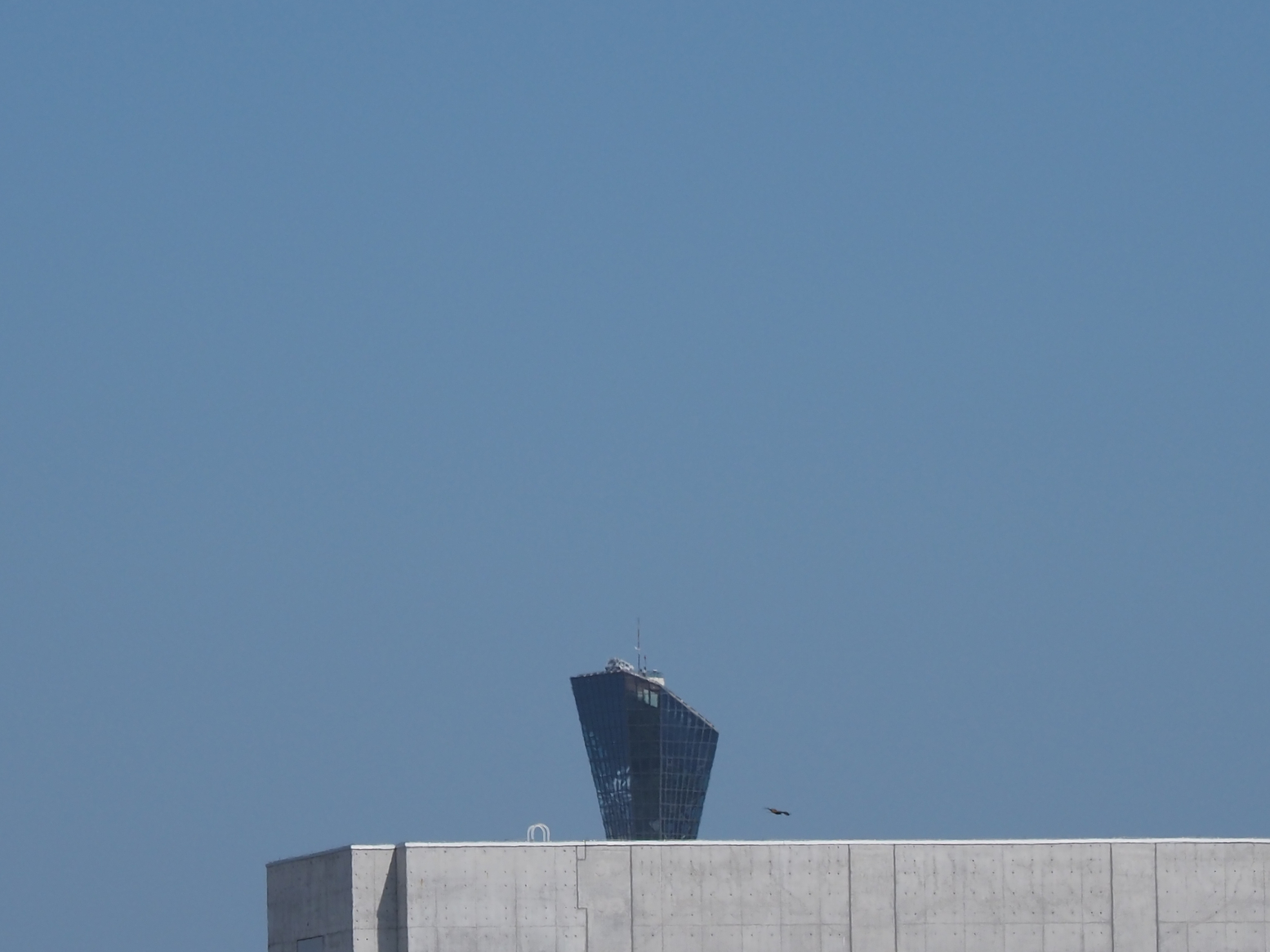 P6223799.jpg