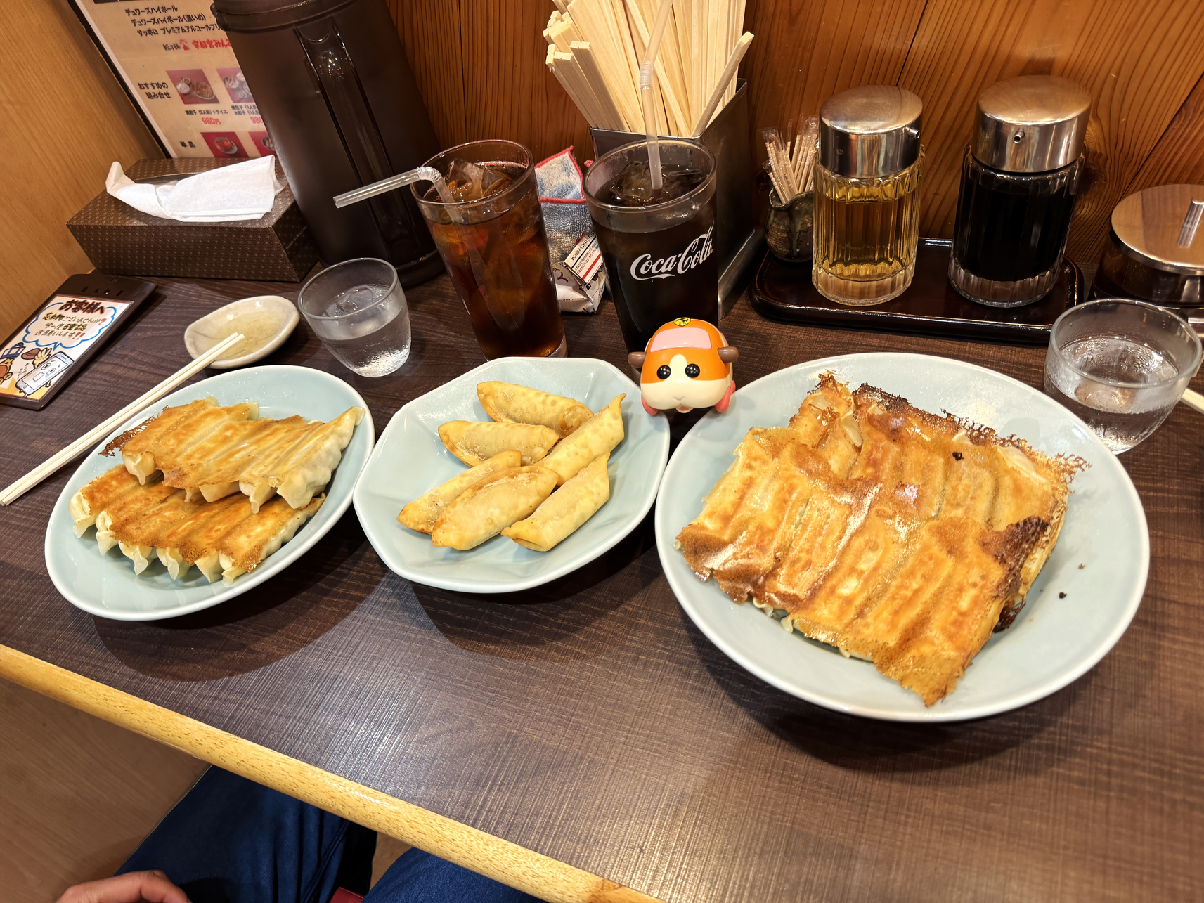 P6223805-07.jpg
