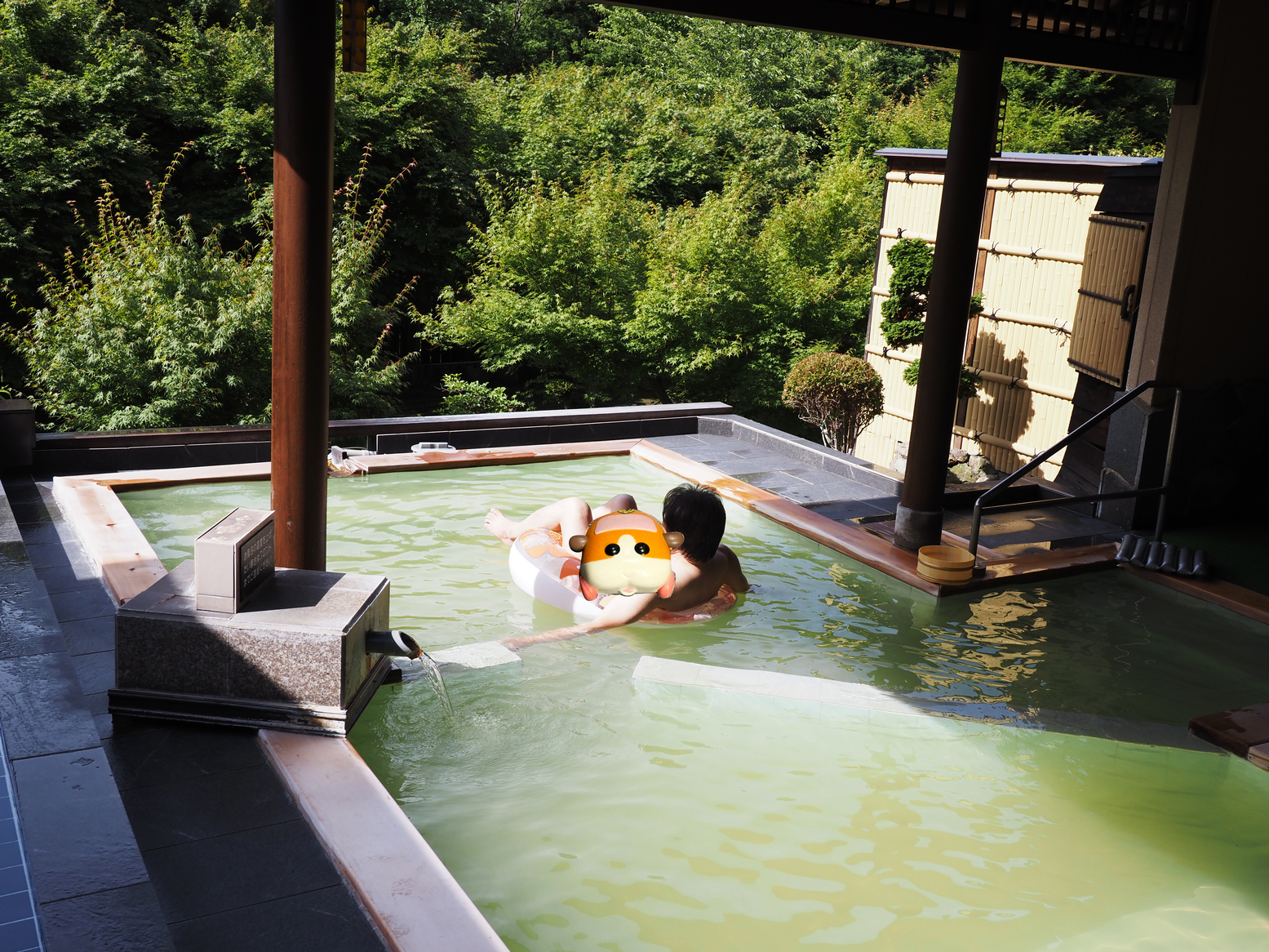 P7193865-.jpg