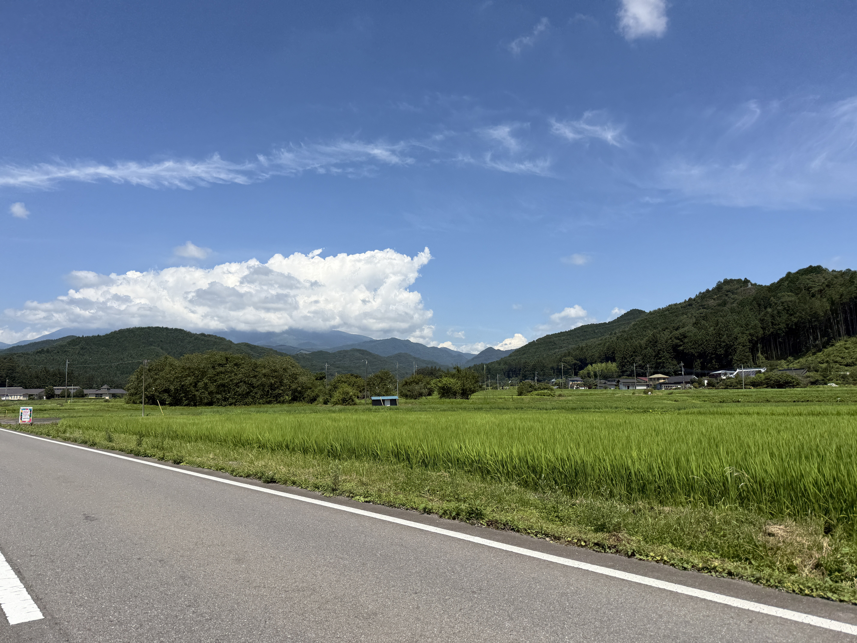 P7193873-229.jpg