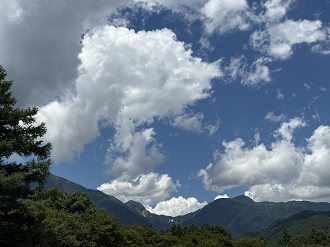 P7193873-247_thumb.png