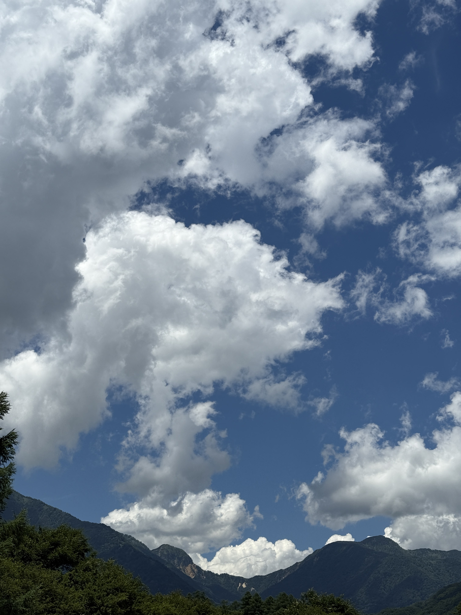 P7193873-250.jpg