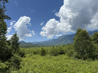 P7193873-274_thumb.png