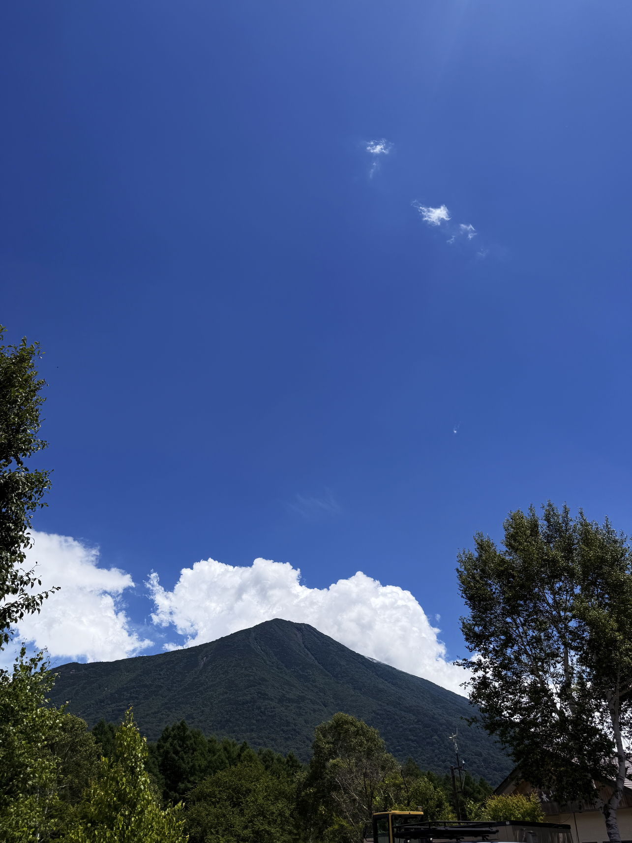P7193873-301.jpg