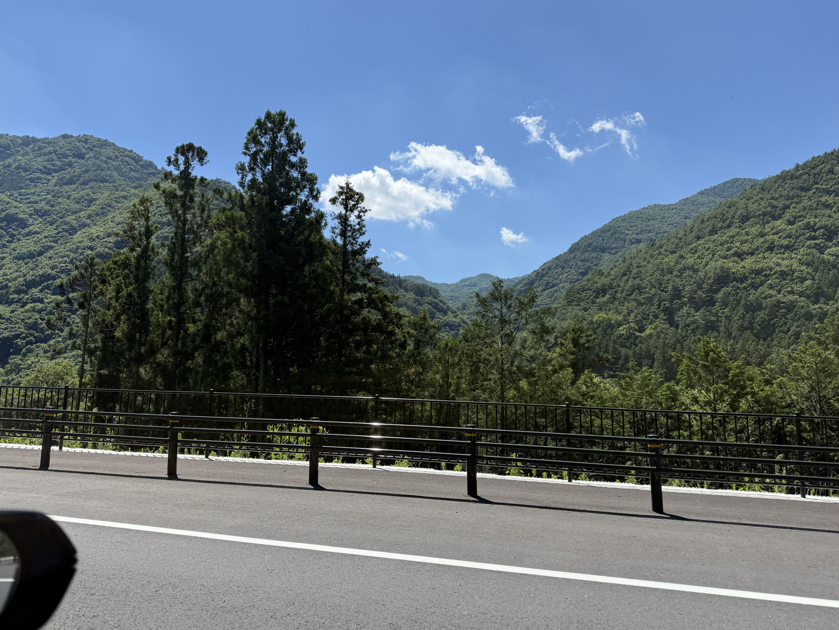 P7193873-313.jpg