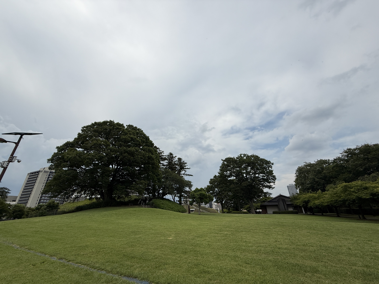 P7273968-020.jpg