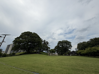 P7273968-020_thumb.png