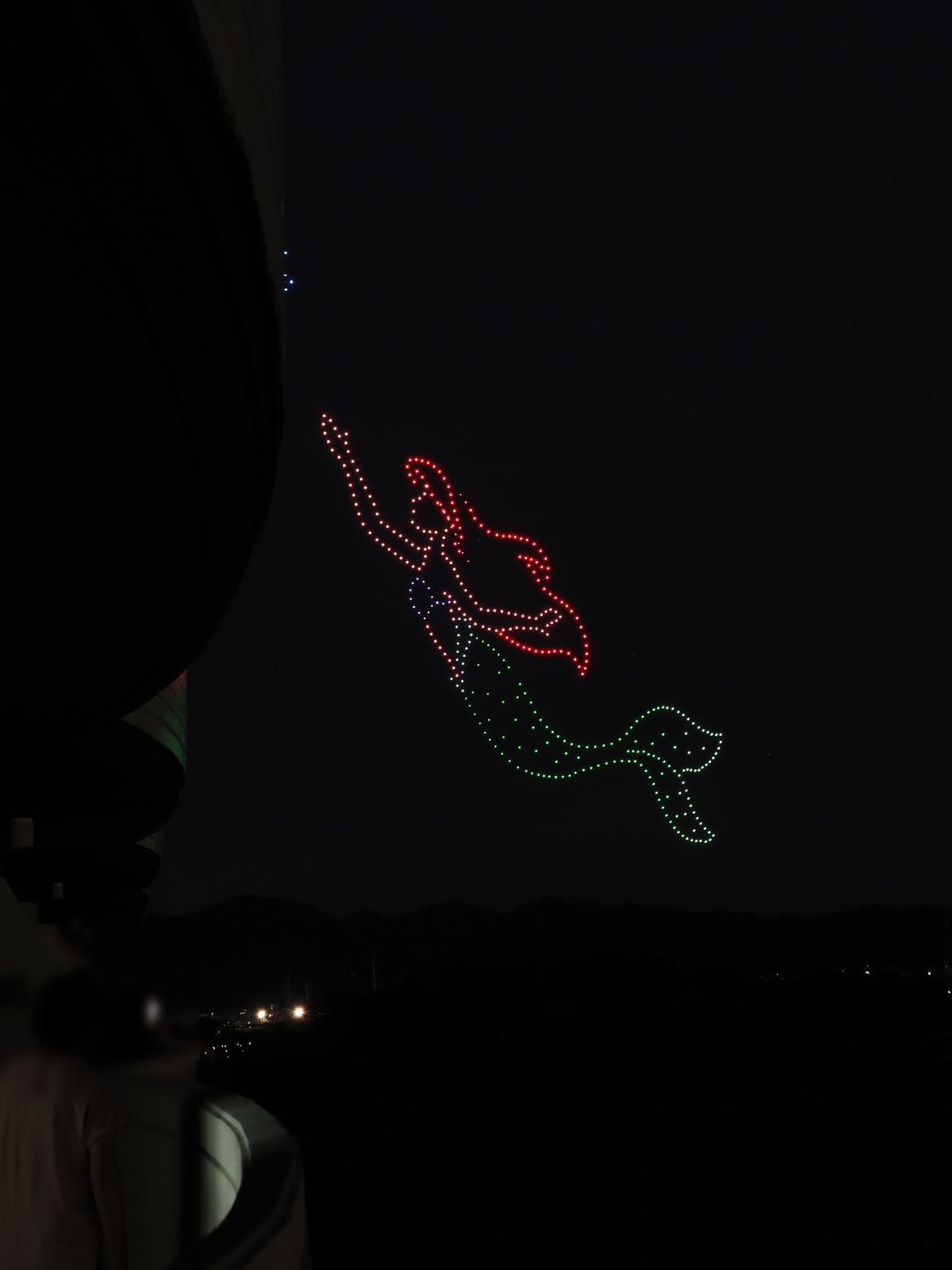 P8023994.jpg